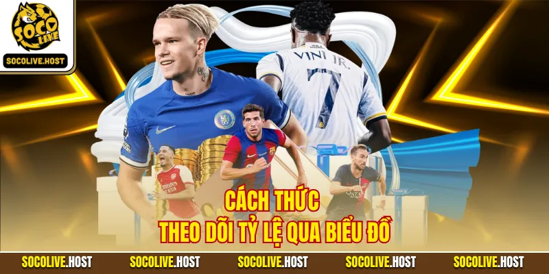 Cách thức theo dõi tỷ lệ qua biểu đồ