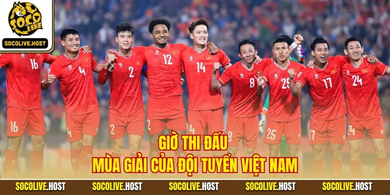 Giờ thi đấu mùa giải của đội tuyển Việt Nam