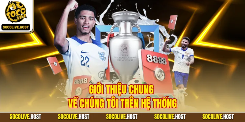 Về Chúng Tôi - Top Góc Nhìn Khác Về Hệ Thống Trực Tiếp 1 Giới thiệu chung về chúng tôi trên hệ thống
