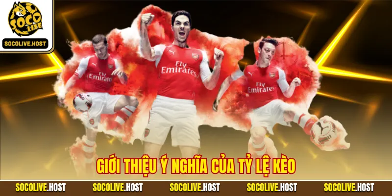 Giới thiệu ý nghĩa của tỷ lệ kèo