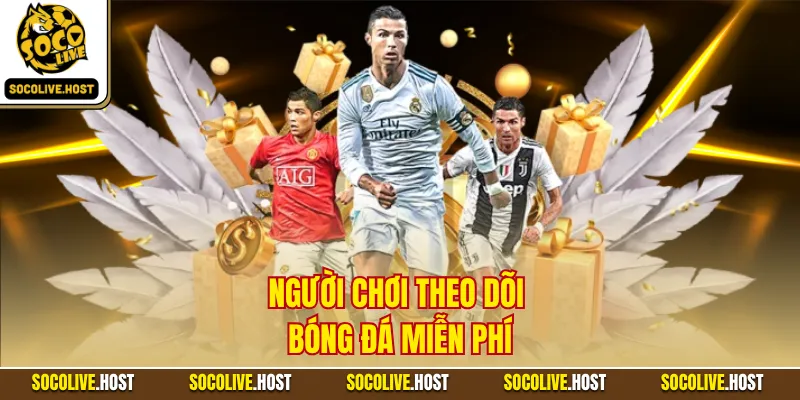 Về Chúng Tôi - Top Góc Nhìn Khác Về Hệ Thống Trực Tiếp 4 Người chơi theo dõi bóng đá miễn phí